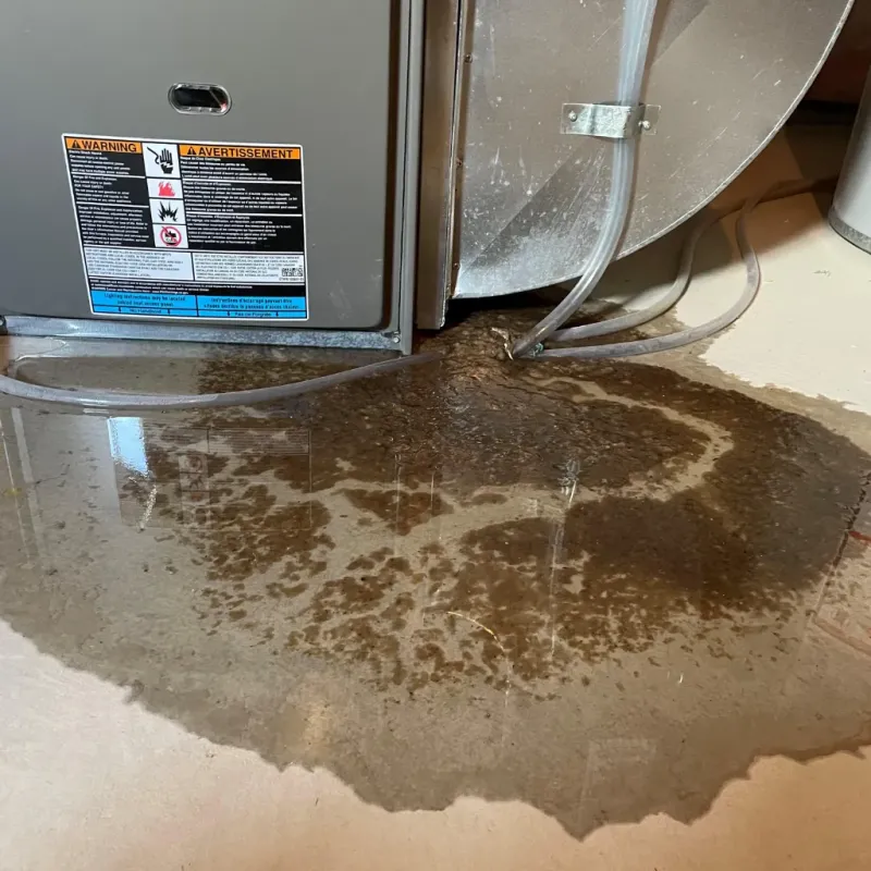 Appliance Leak Cleanup in Salado, TX