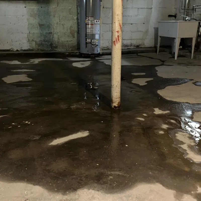 Emergency Water Extraction And Removal in Salado, TX